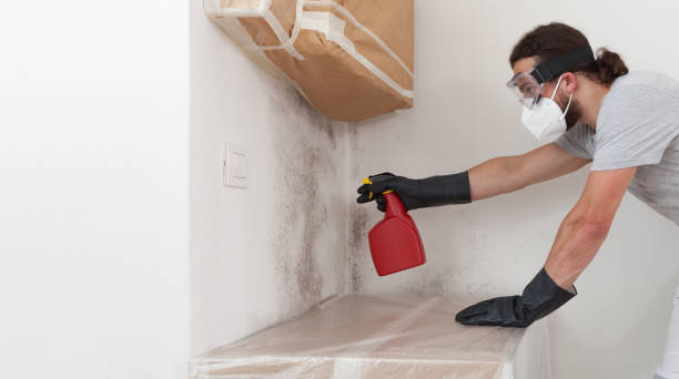 Professional Mold Testing technician working in Leonia, NJ
