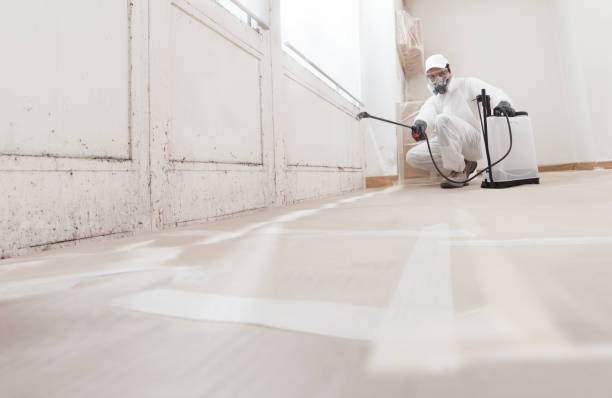 24/7 Emergency Mold Testing experts in Leonia, NJ