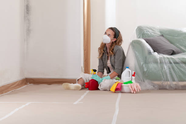 Trusted Basement Mold Remediation service in Leonia, NJ - Cheap Mold Removal